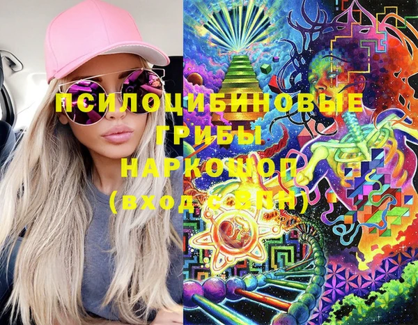 ГАЛЛЮЦИНОГЕННЫЕ ГРИБЫ Алексеевка